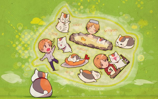 Anime picture 1920x1200 with natsume yuujinchou brains base (studio) madara (nyanko-sensei) highres wide image cat