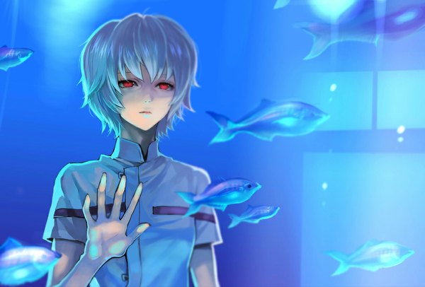 Anime picture 1024x693 with neon genesis evangelion gainax ayanami rei agasang single short hair red eyes purple hair girl choker water fish (fishes)