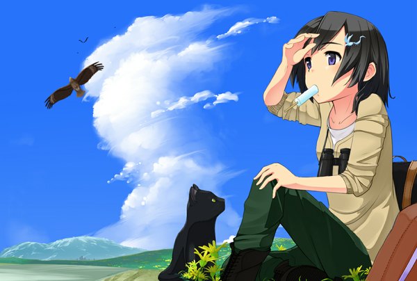 Anime picture 1152x777 with original tagme (artist) single short hair black hair sitting purple eyes looking away sky cloud (clouds) sunlight mountain eating girl hair ornament flower (flowers) animal food boots sweets