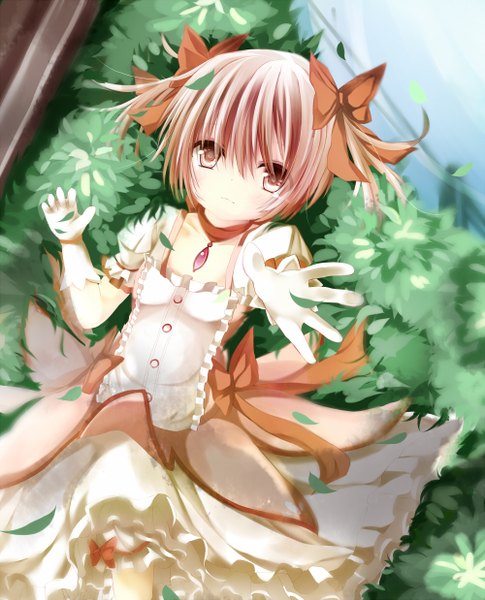 Anime picture 1000x1238 with mahou shoujo madoka magica shaft (studio) kaname madoka umagenzin single tall image looking at viewer short hair pink hair pink eyes girl dress gloves bow plant (plants) hair bow