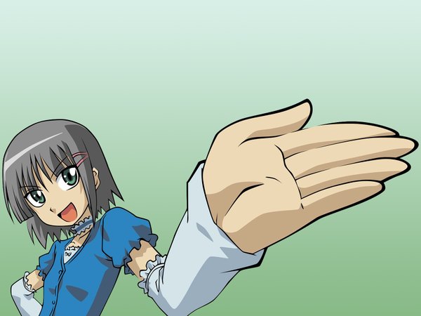 Anime picture 1600x1200 with hayate no gotoku! aizawa sakuya vector green background tagme