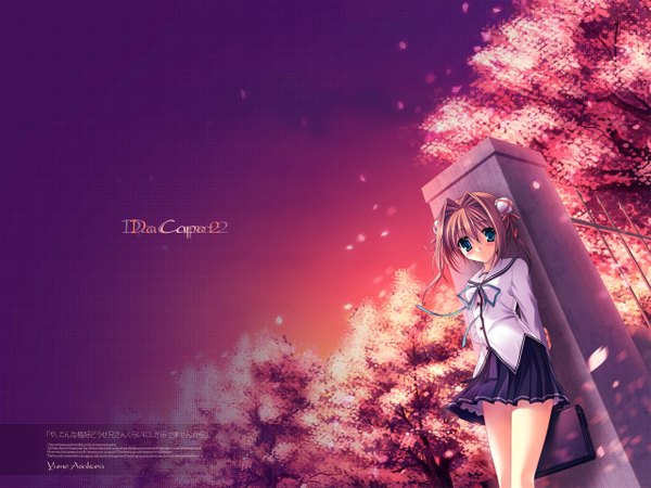 Anime picture 1280x960 with da capo da capo ii asakura yume tanihara natsuki single looking at viewer blush fringe short hair blue eyes hair between eyes brown hair signed sky pleated skirt wind wallpaper cherry blossoms third-party edit girl