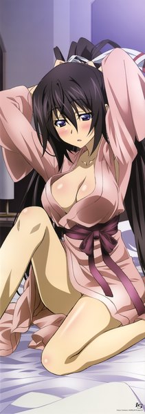 Anime picture 2009x5710 with infinite stratos 8bit shinonono houki single long hair tall image blush highres breasts light erotic black hair purple eyes ponytail traditional clothes japanese clothes official art bare legs girl kimono