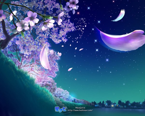 Anime picture 1280x1024 with original kagaya sky night night sky cherry blossoms watermark no people scenic flower (flowers) plant (plants) petals tree (trees) star (stars) grass stairs