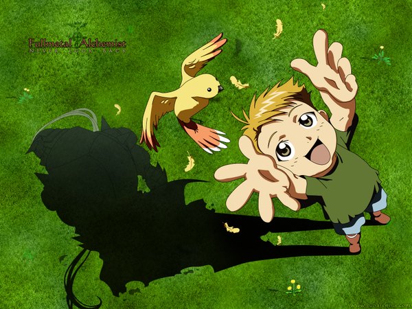 Anime picture 1600x1200 with fullmetal alchemist studio bones alphonse elric single short hair open mouth blonde hair shadow outstretched arm green background boy plant (plants) animal bird (birds) feather (feathers) grass t-shirt child (children)