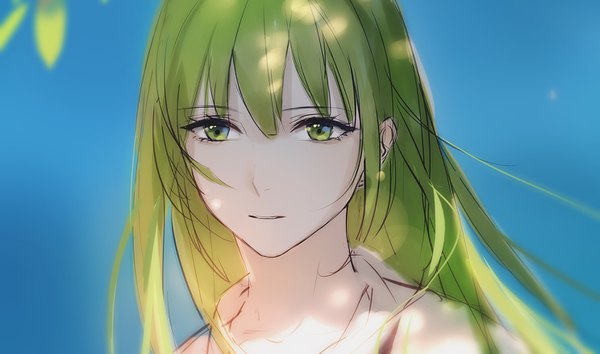 Anime picture 1487x879 with fate (series) fate/strange fake enkidu (fate) rrr (reason) single long hair fringe wide image green eyes looking away green hair blue background face androgynous boy