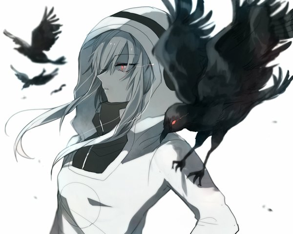 Anime picture 1111x888 with kagerou project shaft (studio) kido tsubomi kohaku6 single long hair fringe simple background red eyes white background looking away profile grey hair glowing glowing eye (eyes) glow girl animal jacket bird (birds)