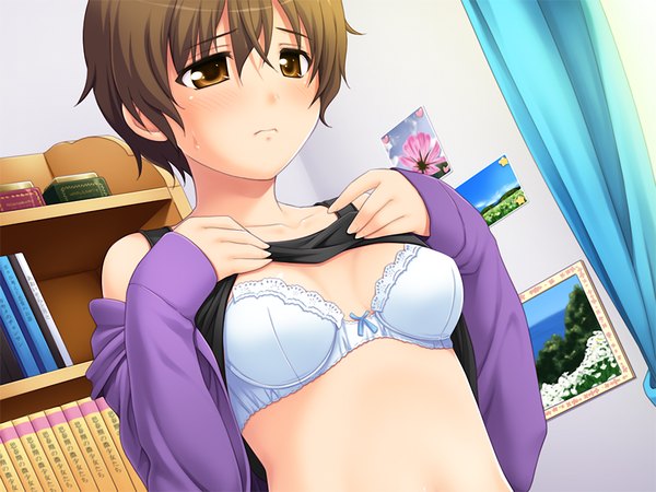 Anime picture 1024x768 with shoukoujo nanasaki haruka nonohara miki short hair light erotic brown hair brown eyes game cg girl