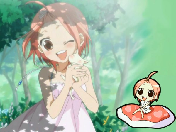 Anime picture 1024x768 with sumomomo momomo momoko kuzuryu short hair brown eyes pink hair wallpaper