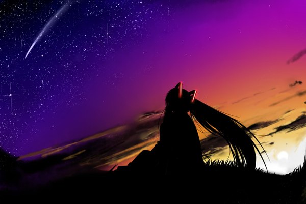 Anime picture 1600x1070 with vocaloid hatsune miku twintails cloud (clouds) night night sky silhouette girl star (stars)