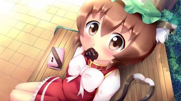 Anime picture 1280x720 with touhou chen kane-neko looking at viewer blush short hair brown hair wide image brown eyes animal ears cat ears cat girl cat tail valentine girl dress food sweets chocolate
