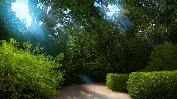 Anime picture 1280x720 with yumeiro alouette! wide image game cg no people landscape nature plant (plants) tree (trees)