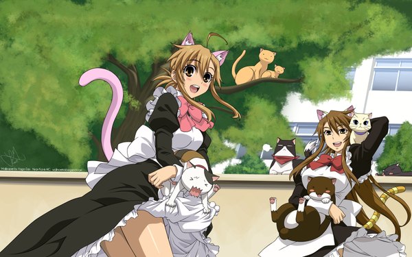 Anime picture 1920x1200 with nyan koi mizuno kaede sumiyoshi kanako nyamsas tama (nyan koi) highres wide image