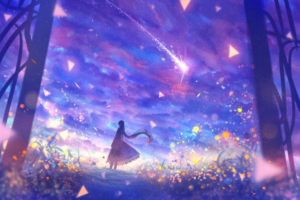 Anime picture 1350x900 with original bounin single long hair black hair cloud (clouds) wind blurry dutch angle depth of field silhouette shooting star gate girl dress plant (plants) star (stars) grass