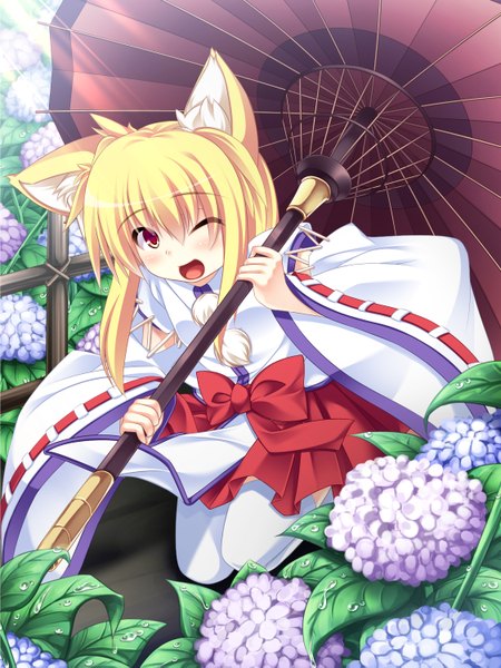 Anime picture 1124x1499 with original roshin single tall image short hair open mouth blonde hair red eyes traditional clothes one eye closed wink fox ears fox girl miko girl thighhighs flower (flowers) white thighhighs leaf (leaves) umbrella