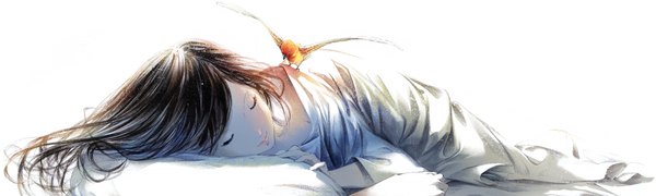 Anime picture 1170x352 with original sousou (sousouworks) single long hair black hair simple background wide image white background lying eyes closed light smile girl animal pillow bird (birds) blanket