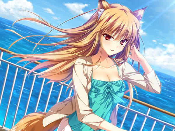 Anime picture 1600x1200 with otomimi infinity (game) miyama kon yasaka minato single long hair looking at viewer blush fringe blonde hair hair between eyes red eyes animal ears game cg sky cloud (clouds) tail animal tail wind fox ears adjusting hair