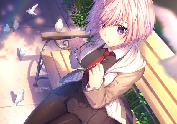 Anime picture 1135x800 with fate (series) fate/grand order mash kyrielight rosuuri single fringe short hair breasts blue eyes sitting purple eyes signed looking away pink hair outdoors parted lips from above sunlight hair over one eye open jacket