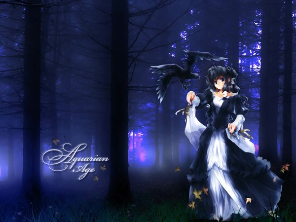 Anime picture 1024x768 with aquarian age goto nao rhapsody (minitokyo) single long hair blue eyes black hair third-party edit girl dress plant (plants) animal tree (trees) bird (birds) leaf (leaves) grass forest autumn leaves