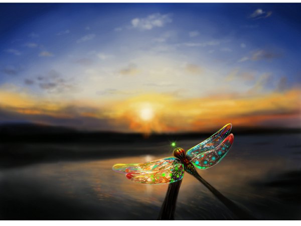 Anime picture 1024x768 with original occult soda sky cloud (clouds) evening sunset landscape fantasy water insect dragonfly
