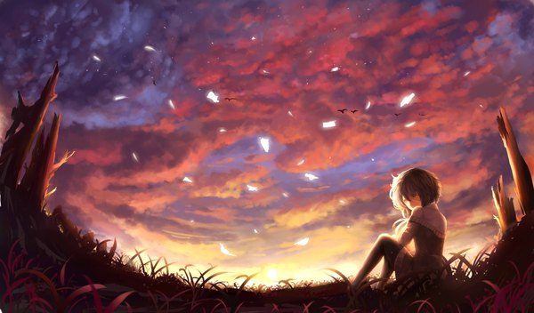Anime picture 1700x998 with original nio (jacky19921205) single short hair black hair wide image sitting brown eyes sky cloud (clouds) looking back evening sunset girl dress plant (plants) animal bird (birds) grass