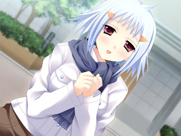 Anime picture 1024x768 with happy factory izumi yura short hair red eyes game cg white hair girl scarf