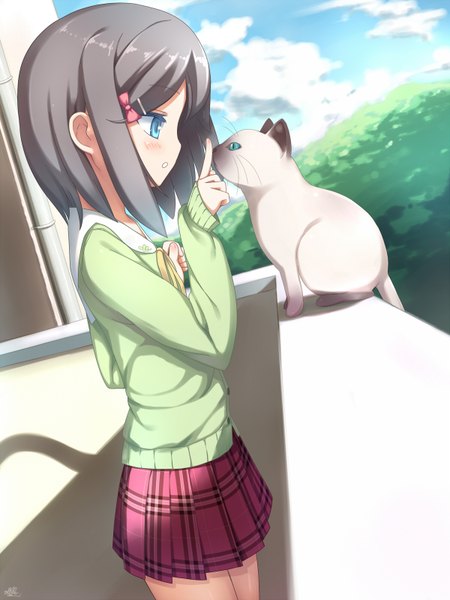 Anime picture 1200x1600 with hentai ouji to warawanai neko j.c. staff tsutsukakushi tsukiko mille single tall image blush short hair blue eyes black hair profile girl skirt miniskirt cat sweater