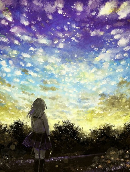 Anime picture 681x900 with original nomiya (no 38) single long hair tall image standing holding sky cloud (clouds) outdoors pleated skirt grey hair from behind lens flare evening sunset girl skirt uniform plant (plants)