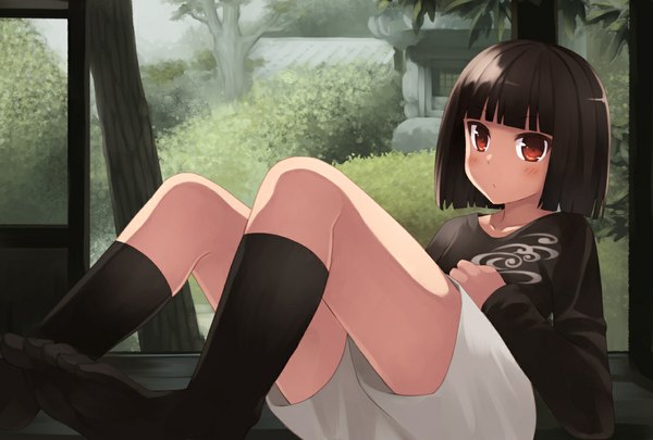 Anime picture 1111x750 with original fukube tamaki kouno hikaru single looking at viewer blush short hair black hair red eyes legs girl plant (plants) tree (trees) socks shorts black socks white shorts