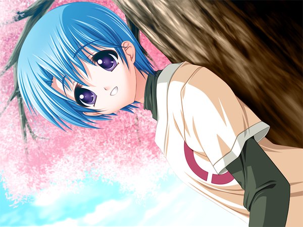 Anime picture 1200x900 with hidamari (game) short hair purple eyes blue hair game cg girl