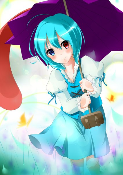 Anime picture 2894x4093 with touhou tatara kogasa utsuku (imiho) single tall image blush highres short hair smile blue hair heterochromia girl dress insect butterfly umbrella