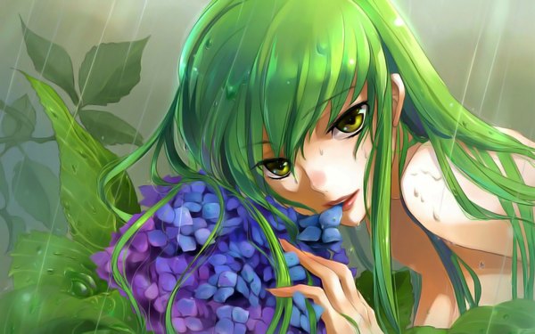 Anime picture 1920x1200 with code geass sunrise (studio) c.c. isumimax long hair highres wide image bare shoulders green eyes green hair wet girl flower (flowers) plant (plants) hydrangea
