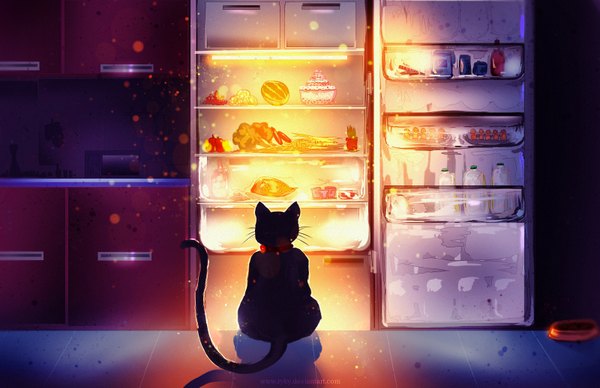 Anime picture 1600x1037 with original ryky sitting signed indoors from behind night shadow watermark light no people animal food cat collar kitchen bowl refrigerator pet bowl