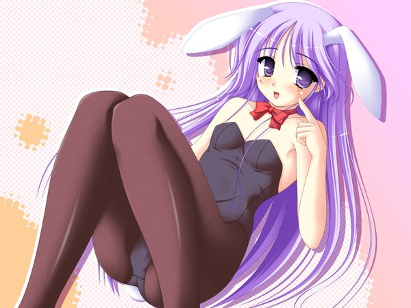 Anime picture 1600x1200 with happiness watarase jun light erotic bunny girl otoko no ko boy pantyhose collar bunnysuit