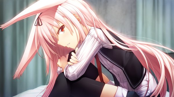 Anime picture 1280x720 with gleam garden no shoujo luna (gleam garden no shoujo) char single long hair looking at viewer red eyes wide image sitting animal ears pink hair game cg girl thighhighs black thighhighs