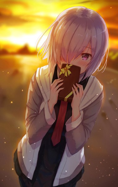 Anime picture 997x1571 with fate (series) fate/grand order mash kyrielight maru (maru1625) single tall image looking at viewer blush fringe short hair standing purple eyes holding purple hair upper body outdoors long sleeves hair over one eye evening sunset