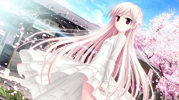 Anime picture 1280x720 with sakura sakimashita akizuki tsukasa long hair red eyes wide image game cg white hair cherry blossoms girl dress hair ornament petals