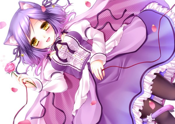 Anime picture 1200x848 with original shitou long hair blush open mouth animal ears yellow eyes purple hair cat ears cat girl cat tail girl dress flower (flowers) petals