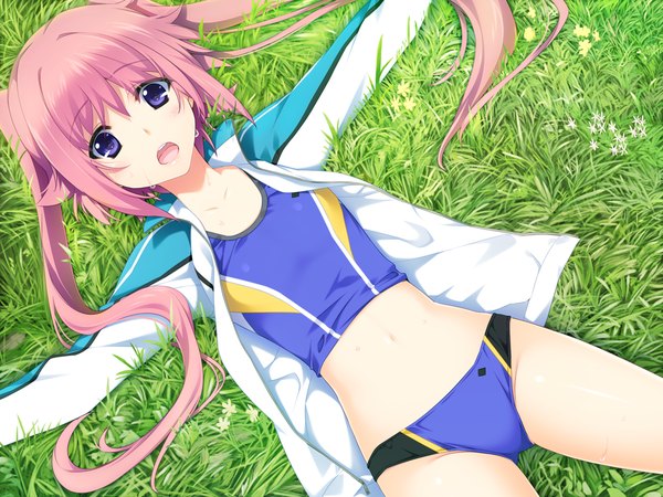 Anime picture 1024x768 with lovely x cation 2 hibiki works nirasaki hinata iizuki tasuku long hair light erotic twintails purple eyes pink hair game cg lying girl uniform plant (plants) grass gym uniform