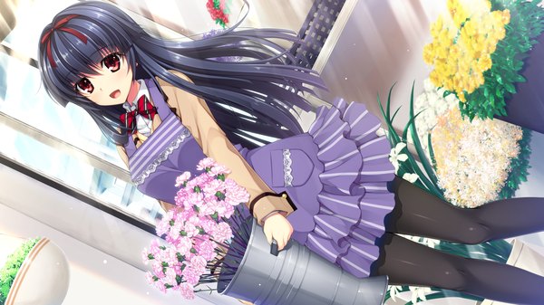 Anime picture 2194x1234 with pretty x cation 2 hibiki works himekawa honami single long hair highres open mouth black hair red eyes wide image game cg girl flower (flowers) pantyhose apron