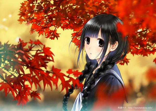 Anime picture 1000x711 with original kazuharu kina single looking at viewer black hair signed braid (braids) black eyes :o twin braids autumn girl serafuku leaf (leaves) autumn leaves