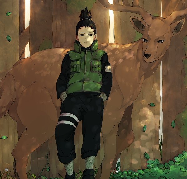 Anime picture 1200x1150 with naruto studio pierrot naruto (series) nara shikamaru black hair tail black eyes hands in pockets boy animal tree (trees) leaf (leaves) vest forest deer