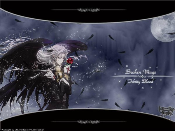 Anime picture 1024x768 with trinity blood gonzo abel nightroad white hair flower (flowers) wings rose (roses) red rose
