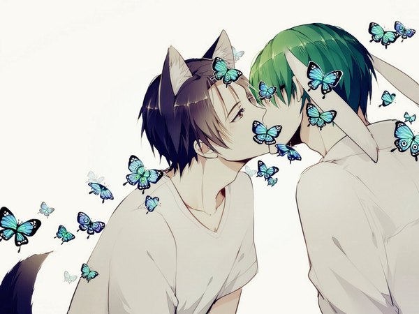 Anime picture 1600x1200 with kuroko no basket production i.g midorima shintarou takao kazunari kurasaki ken short hair black hair simple background white background animal ears tail animal tail green hair multiple boys bunny ears couple kiss wolf ears shounen ai wolf tail