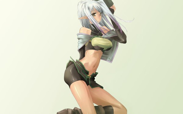 Anime picture 1920x1200 with ragnarok online highres wide image white hair wallpaper hunter