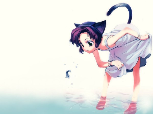 Anime picture 1280x960 with smile animal ears purple hair tail cat girl girl dress water