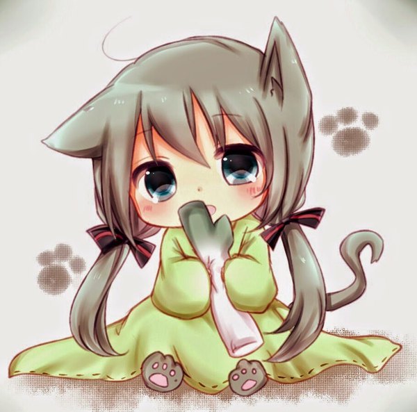Anime picture 910x900 with vocaloid hatsune miku misa (kaeruhitode) single long hair looking at viewer blush fringe open mouth blue eyes hair between eyes sitting twintails holding animal ears tail animal tail grey hair cat ears cat girl