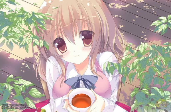 Anime picture 1829x1199 with sucre kusakabe miharu single long hair highres brown hair brown eyes light smile girl tea