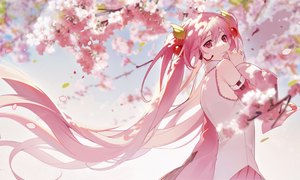 Anime picture 4936x2956