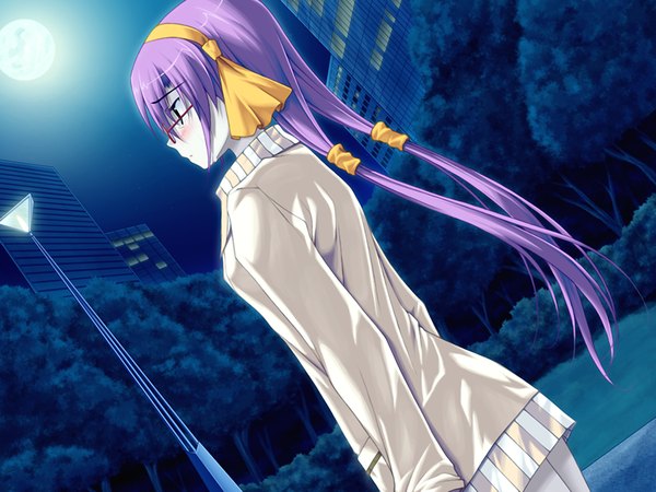 Anime picture 1024x768 with elle prier (game) nasu minori long hair twintails green eyes game cg purple hair night girl glasses moon